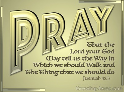 Jeremiah 42:3 That The Lord May Tell Us The Way In Which We Should Walk (gold)